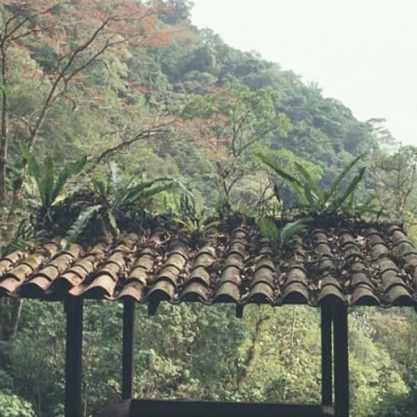 Fotografía Análoga de Wendy Jazmin Ramirez